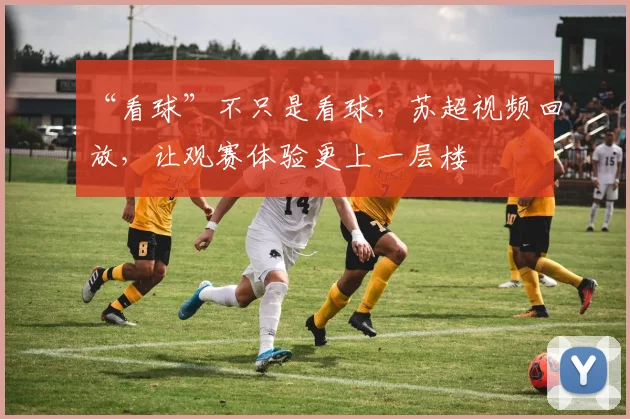 “看球”不只是看球，苏超视频回放，让观赛体验更上一层楼