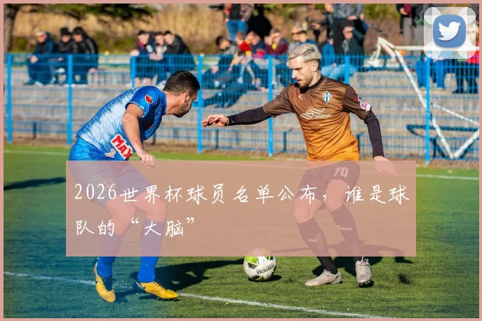 2026世界杯球员名单公布,谁是球队的“大脑”