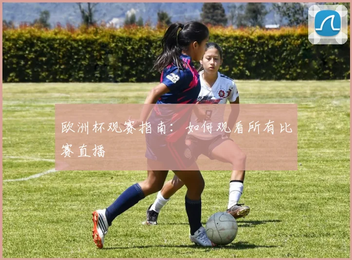 欧洲杯观赛指南:如何观看所有比赛直播