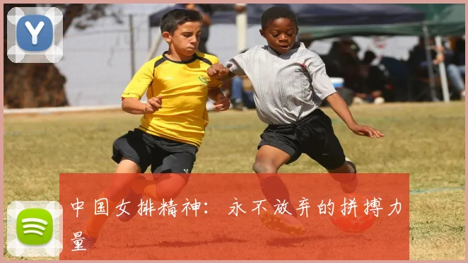 中国女排精神:永不放弃的拼搏力量