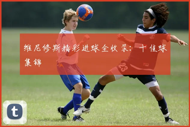 维尼修斯精彩进球全收录:十佳球集锦