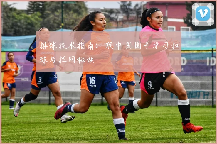 排球技术指南:跟中国国手学习扣球与拦网秘诀